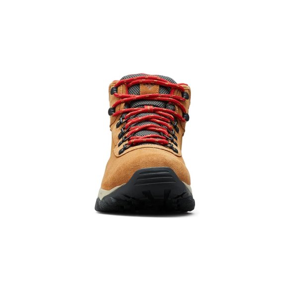 NEWTON RIDGE PLUS II HIKING BOOT - MEN\'S main image 5